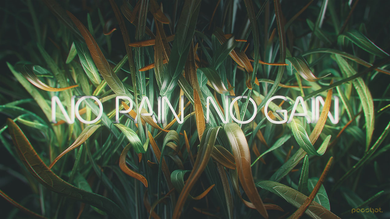 No Pain No Gain 3D Neon 2